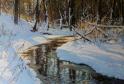 Winter stream, 2016, oil on canvas, 100x120cm..jpg